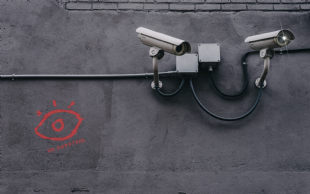 Big Brother Under Scrutiny